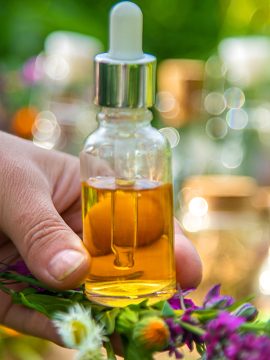 Plants and herbs, nature, alternative medicine. Selective focus Nature
